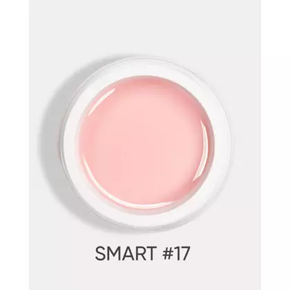 DARK Smart Builder Gel №17, 30 ml, Выбор объема: 30 мл, Выбор оттенка: №17, назначение