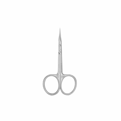 Ножницы профессиональные с крючком для кутикулы Staleks Exclusive 21 Type 2 (magnolia)
