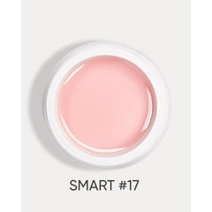 DARK Smart Builder Gel №17, 15 ml, Вибір об'єму: 15 мл, Вибір відтінку: №17
