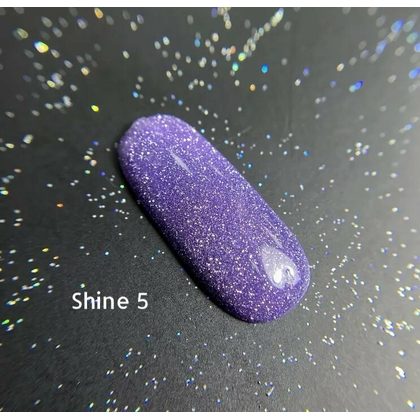 Гель-лак Ga&Ma Shine №5 світловідбивний, 10 мл, зображення 2