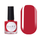 DARK Stamping polish №36, феррари, 10 мл, фото 2